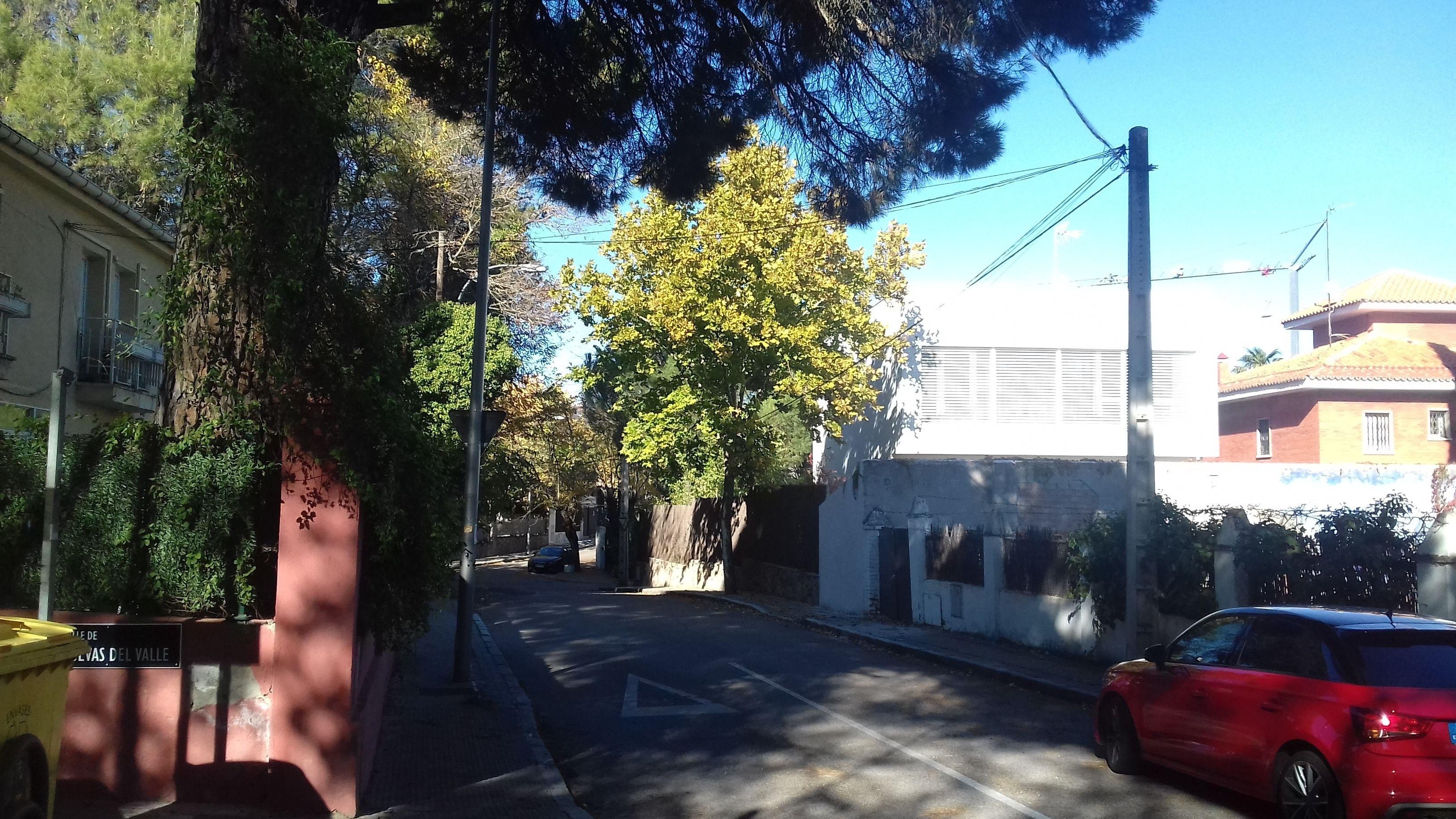 Hostal Aravaca Garden — Photos 3